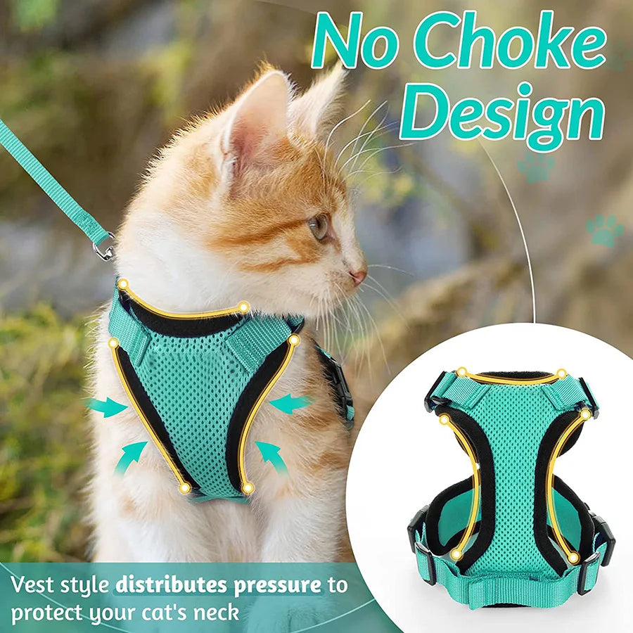 Cat Harness and Leash for Walking.
