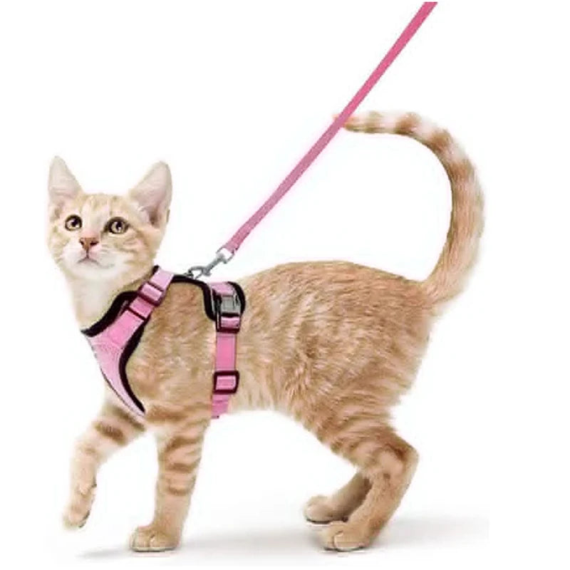 Cat Harness and Leash for Walking.