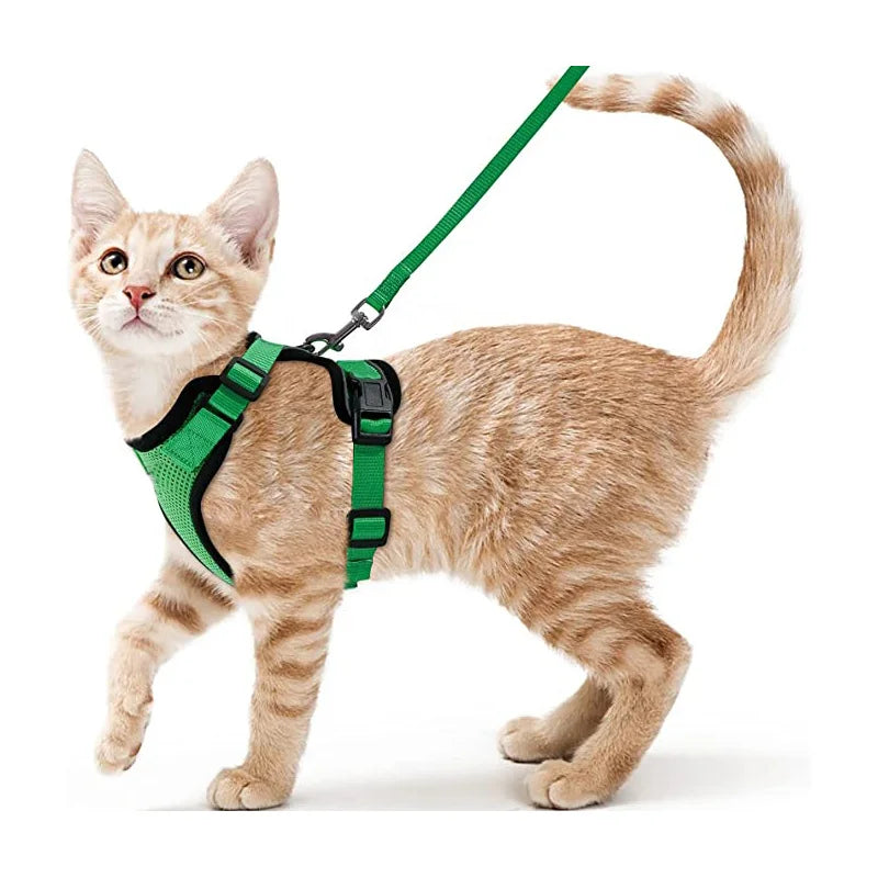 Cat Harness and Leash for Walking.