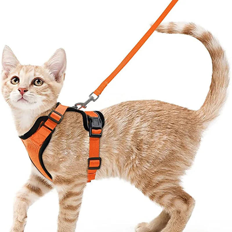 Cat Harness and Leash for Walking.