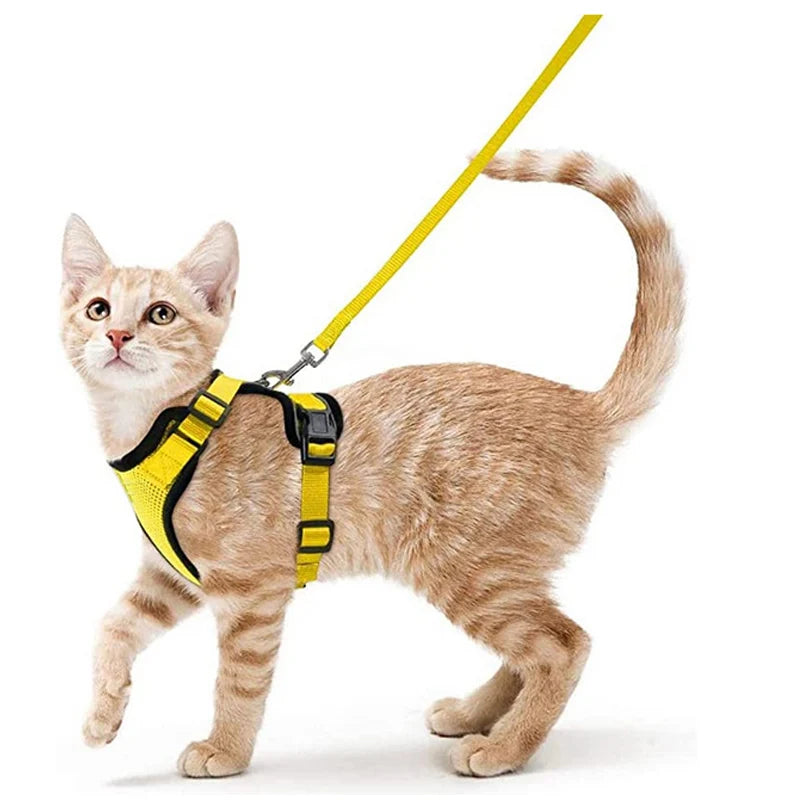 Cat Harness and Leash for Walking.